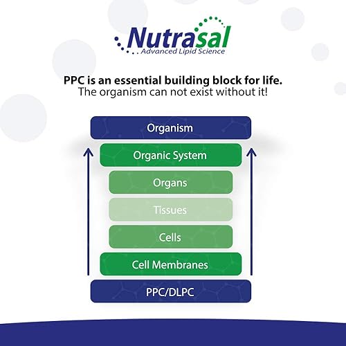 Miniatura 4 de Nutrasal PhosChol PPC Polienil FosfatidilColina Suplemento de colina 3000mg Líquido 8 oz