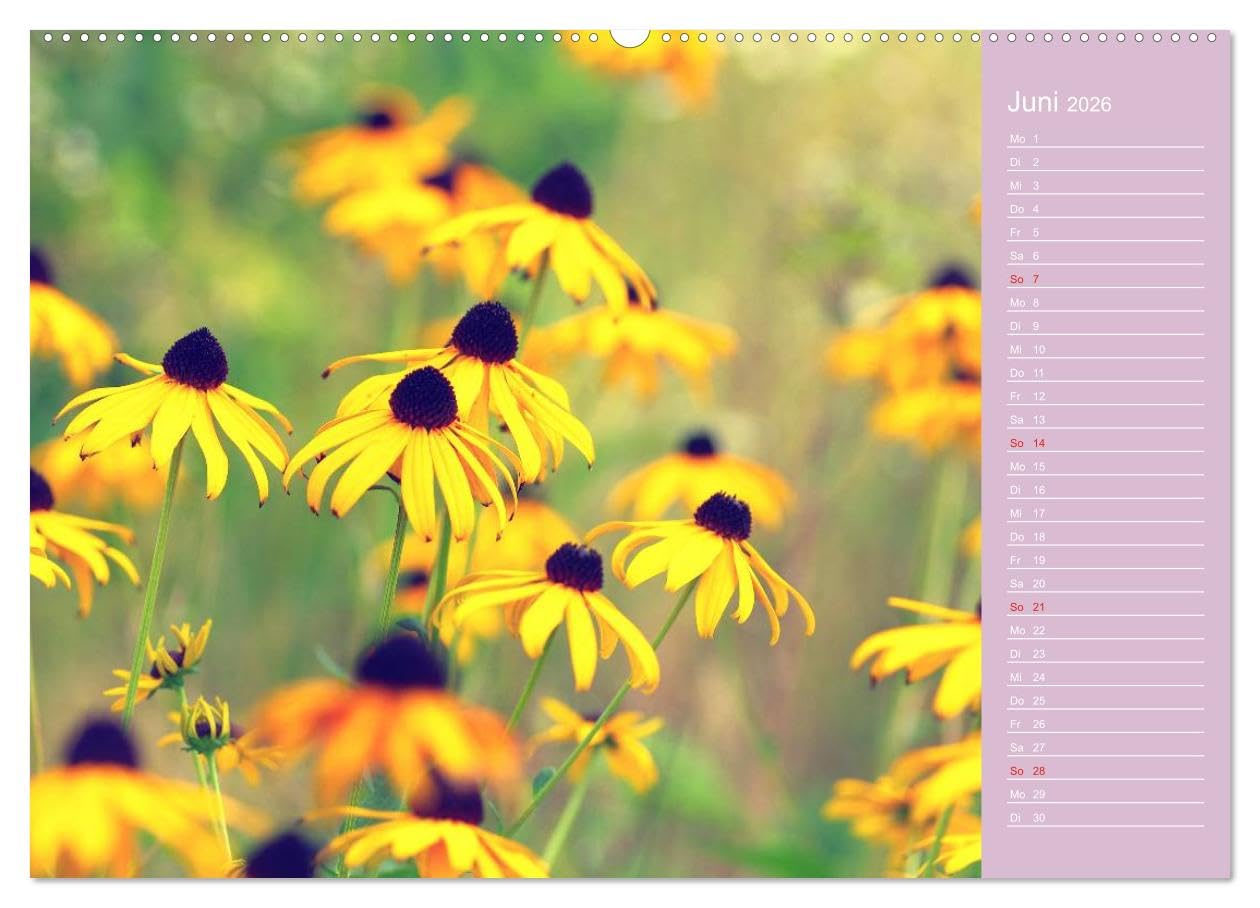 Blumenfreude Schweizer Kalendarium (hochwertiger Premium Wandkalender 2026 DIN A2 quer), Kunstdruck in Hochglanz: Mit wunderschönen Blumen und Blütenbilder durch das Jahr (CALVENDO Natur)