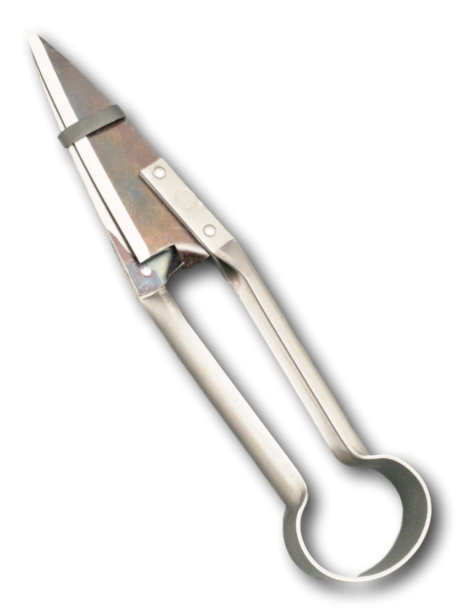 DUE BUOI Cisaille à mouton droite à nœud simple DB 160/32 - Longueur totale de la lame : 14 cm