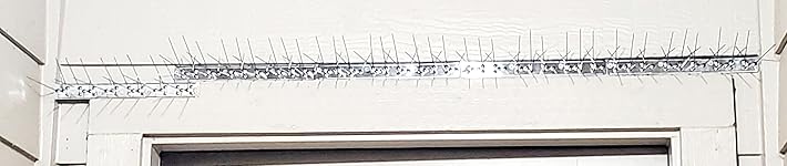 Review Image by LKStav LKStav