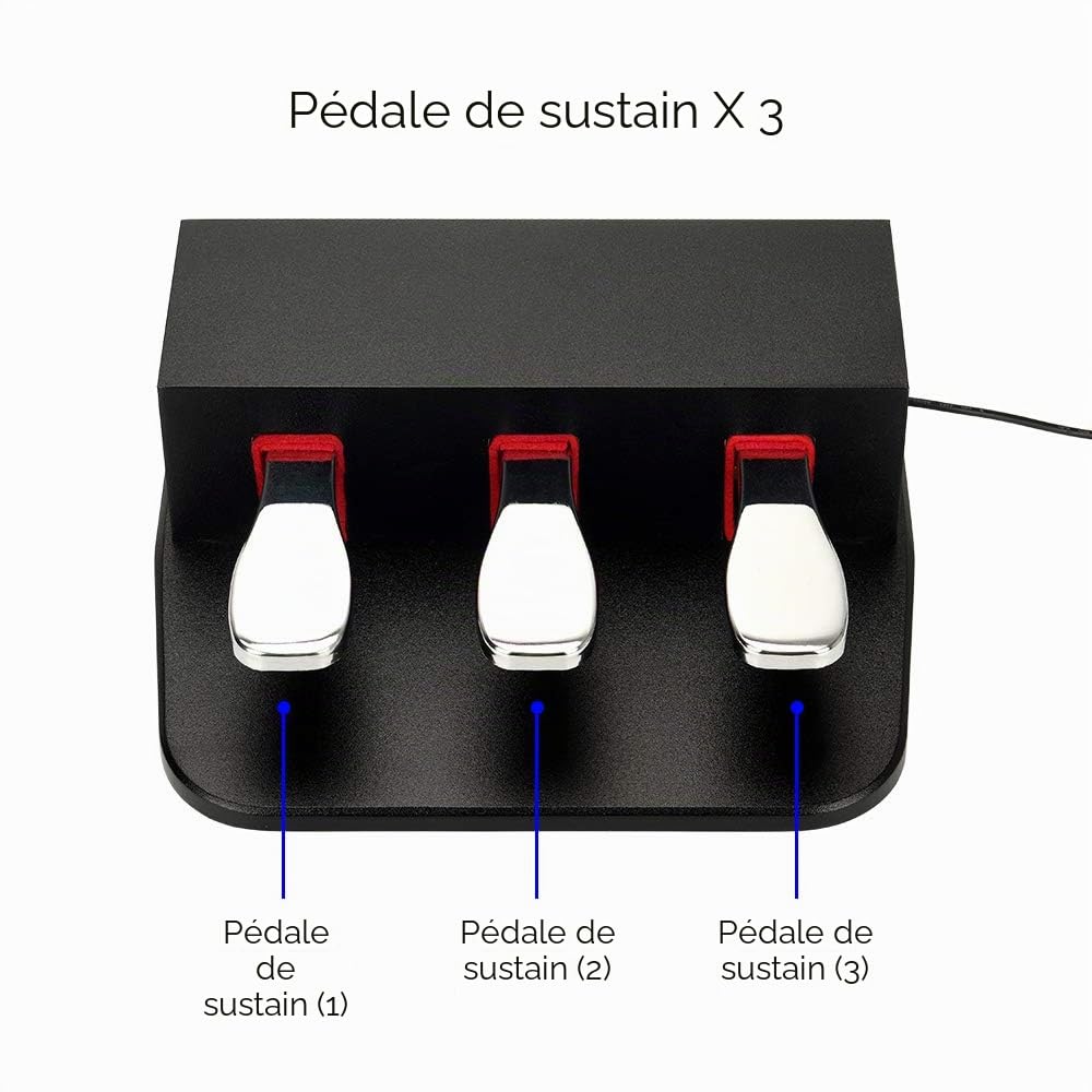 Pédale de sustain pour piano à 3 pédales d'amortissement 6,35 mm, prise universelle pour claviers électroniques et pianos numériques, piano électrique, claviers MIDI, synthétiseur (noir)