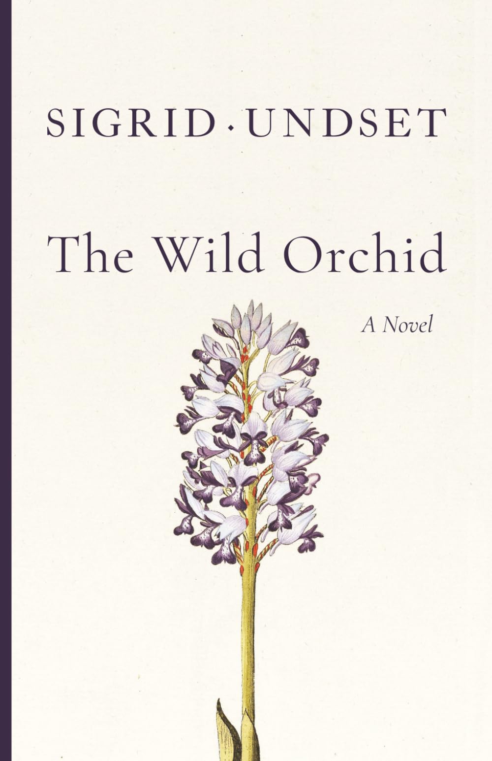 The Wild Orchid