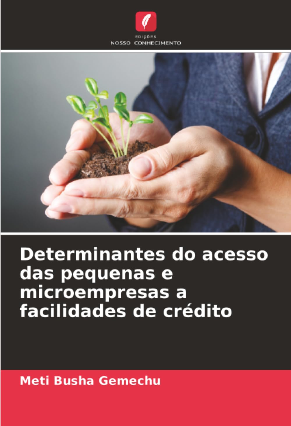 Determinantes do acesso das pequenas e microempresas a facilidades de crédito