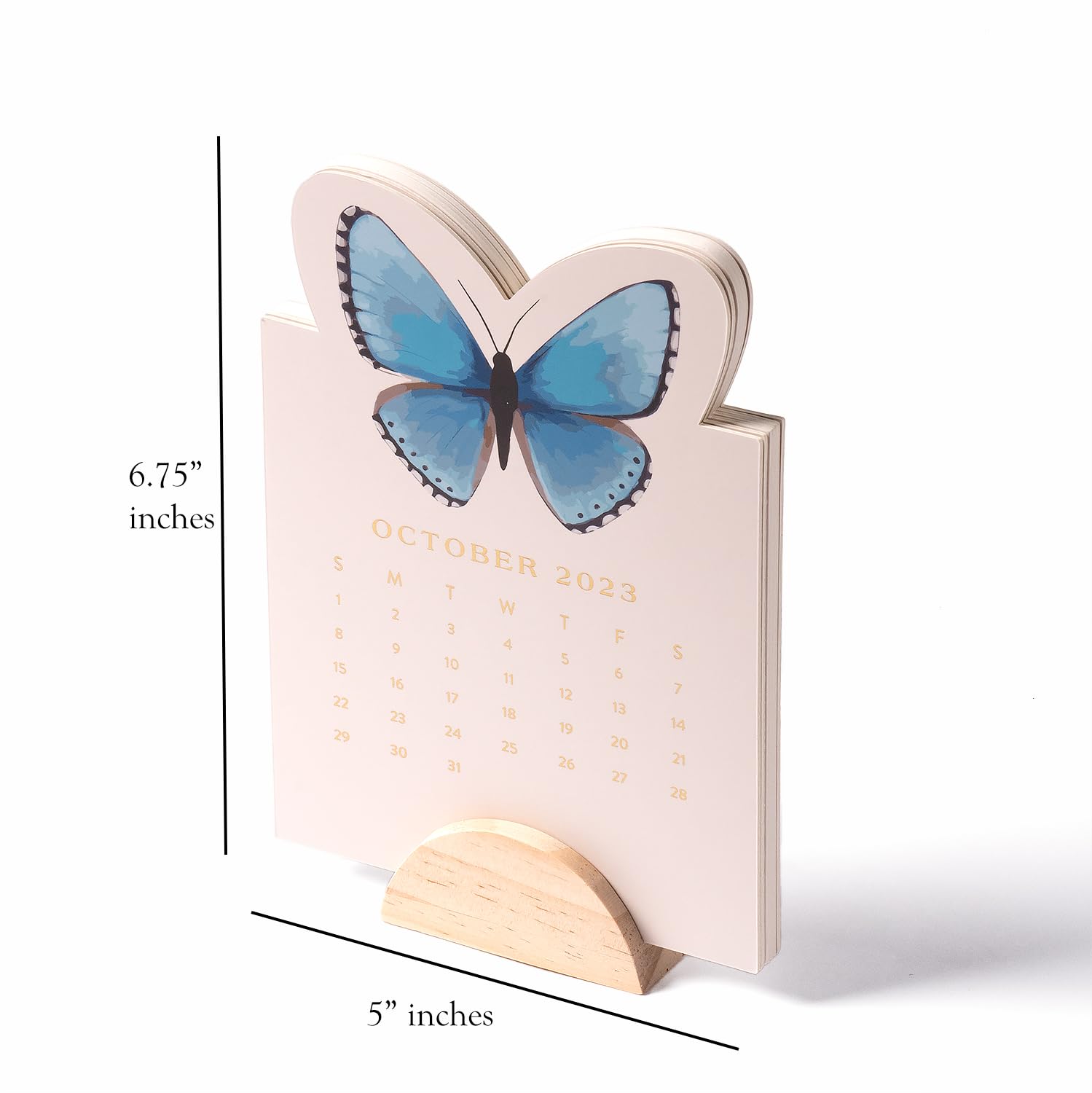 Amazon.com : Eccolo Desktop Calendar 2023-2024 - 6 Die Cut