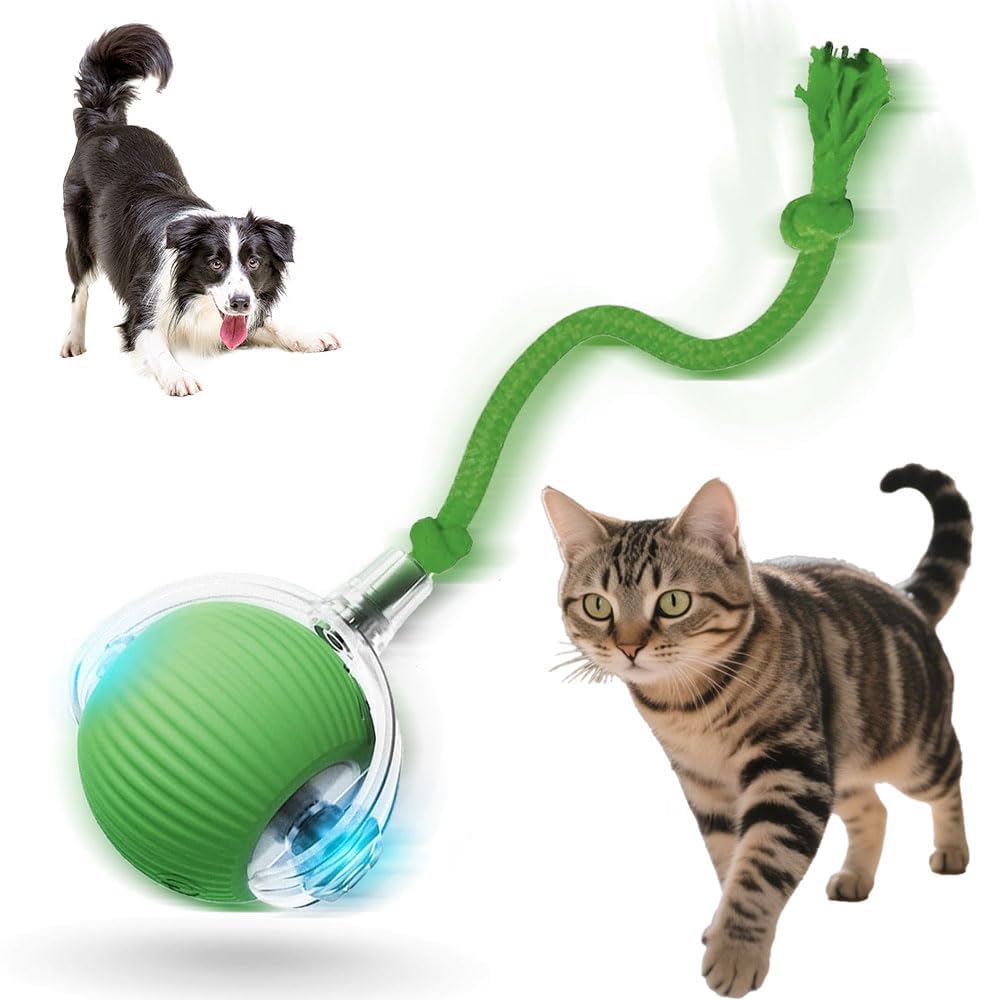 Interactive Cat Toys for Indoor Cats 2026 New Motion Activated Cat Balls with 360 Smart Automatic Rolling Moving