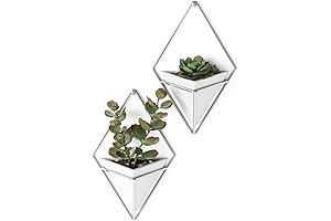 Umbra Trigg Small Wall Display: Versatile Indoor-Outdoor Planter