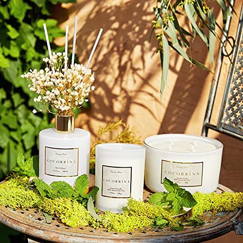 Image of Cocorrina Premium Reed Diffuser Set with Preserved Baby's Breath & Cotton Stick Coconut Lime | 6.7oz Scent Fragrance Oil Diffuser for Bedroom Bathroom Home Decor