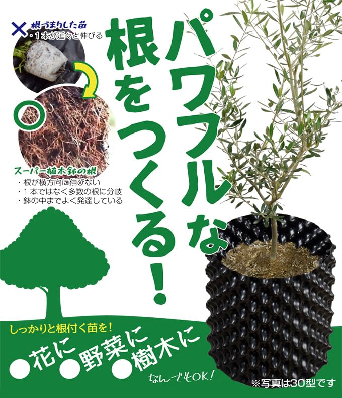 Amazon | 根の張るスーパー植木鉢 20型 10個組 ポット