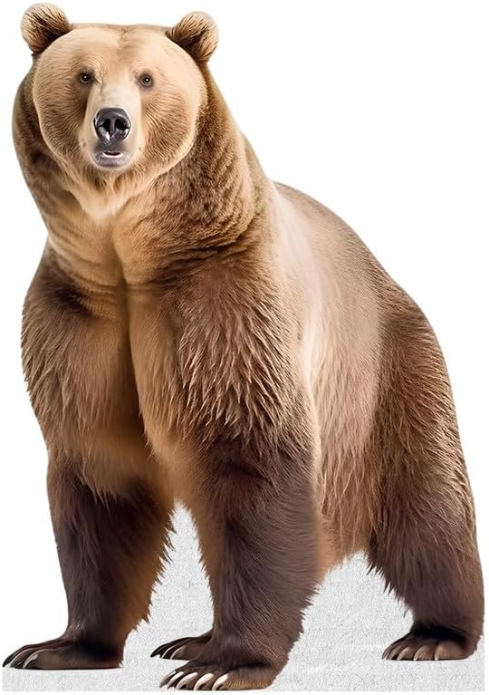 bear - life size cardboard cutout standup people with support standee | animals -2 bear_2