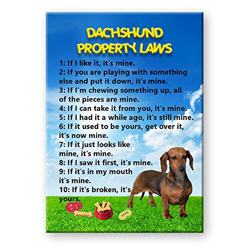 Dachshund Property Laws Fridge Magnet No 1