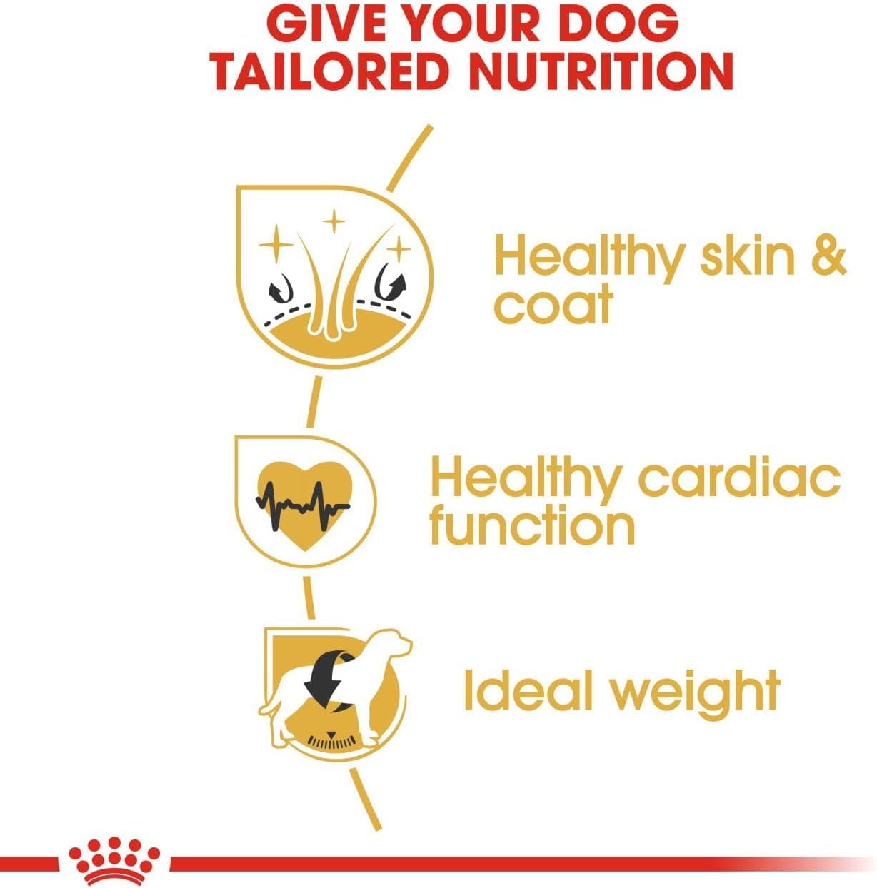 Royal Canin Golden Retriever Adult Nourriture sèche pour chiens 15 kg