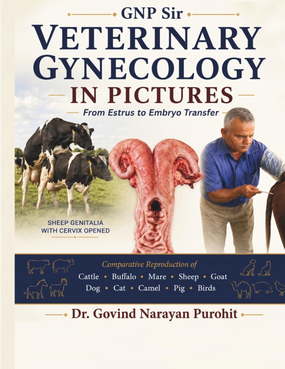 Veterinary Gynecology In Pictures: From Estrus To Embryo Transfer: An Illustrated Guide to Female Anatomy, Estrus, Fertility, Reproductive Physiology, Reproductive Disorders, and Embryo Transfer