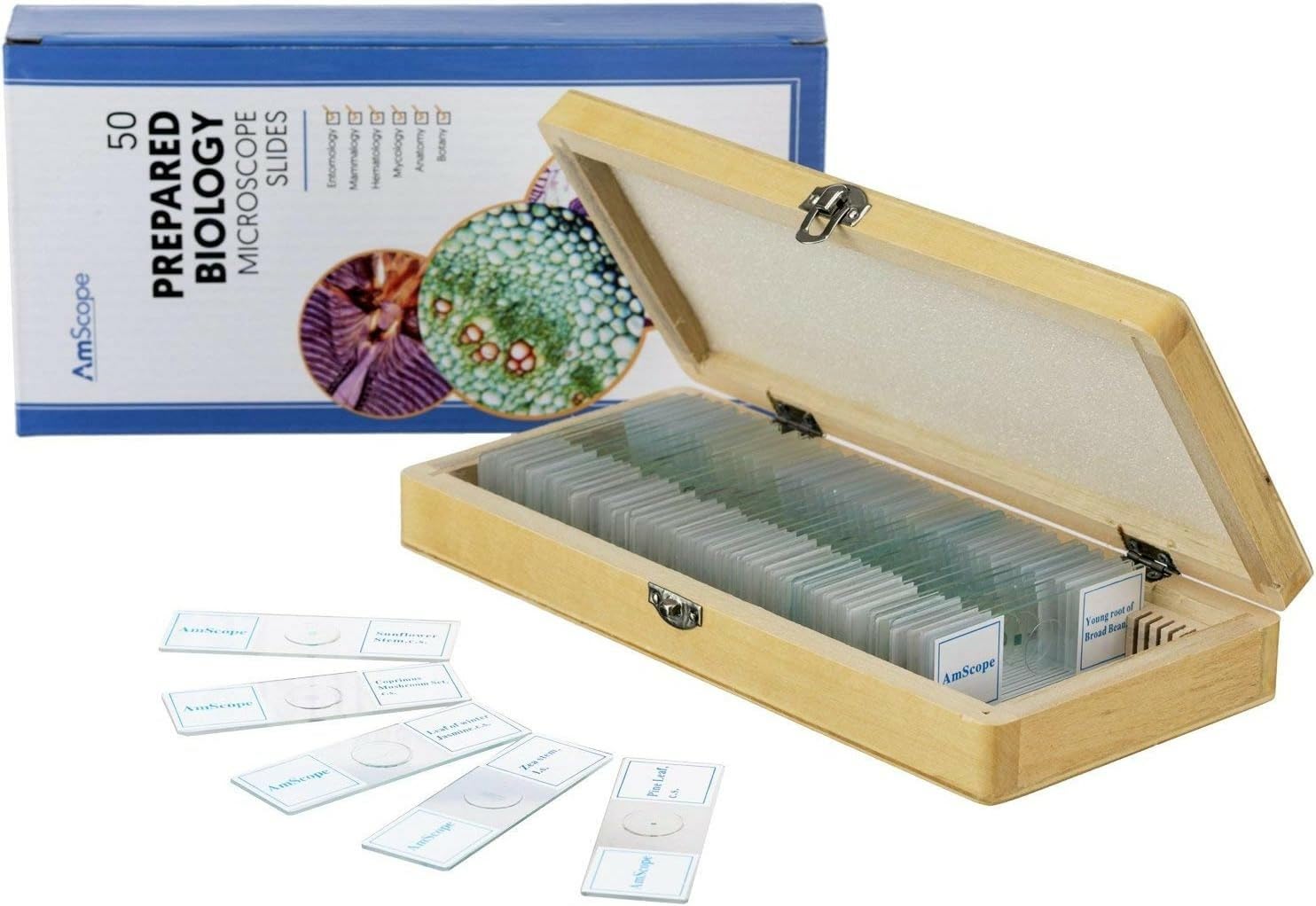 AmScope PS50 Lot de 50 lames de microscope préparées pour l'éducation scientifique biologique de base, avec étui en bois