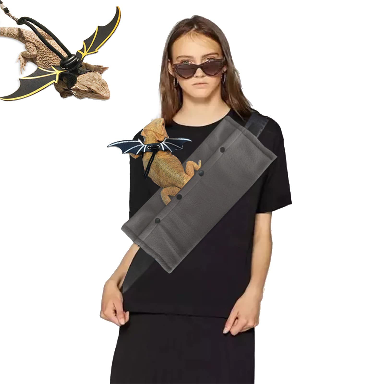 Dragón barbudo para transportador que camina con accesorios de dragón barbudo + para entrenamiento con bolsa de transporte