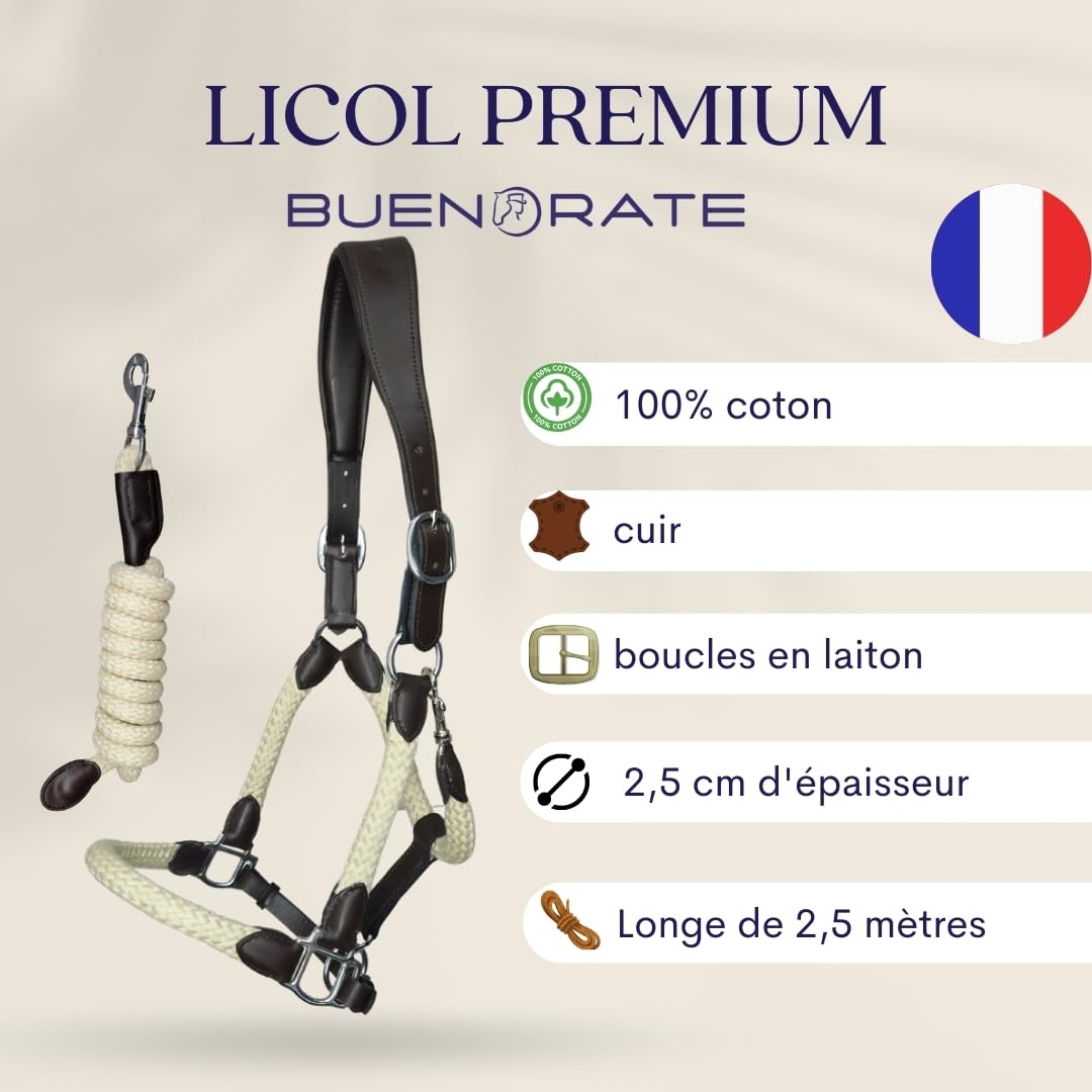 Licol cheval avec longe cheval - equitation cheval equipement - licol premium cuir et coton 100% - Têtière anatomique - Full Size (Beige)