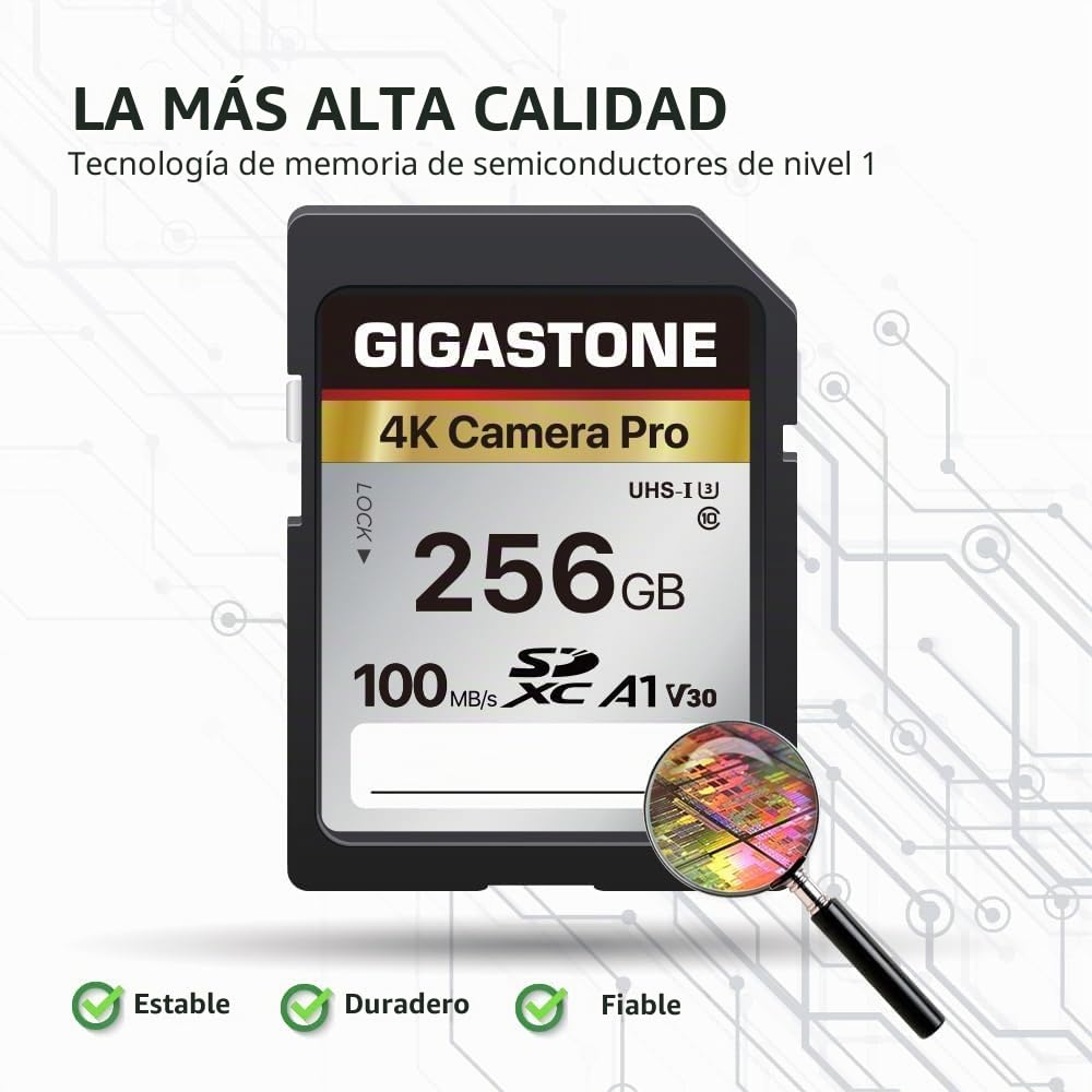 【5 Años Recuperación de Datos Gratis】 GIGASTONE 256GB Tarjeta SD con Lector de Tarjetas USB Tipo C, 4K Cámara Pro Serie, hasta 100MB/s, Videocámara, A1 V30 UHS-I Clase 10 para 4K UHD