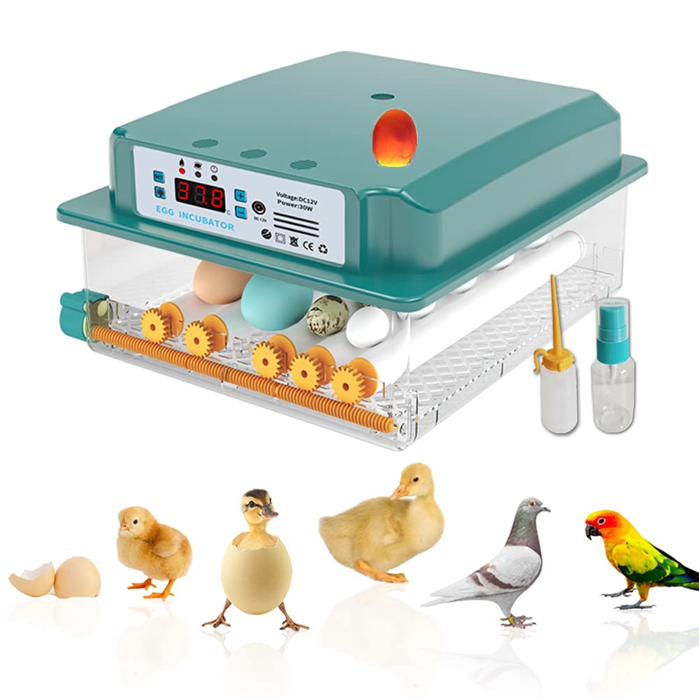 Buy New Vida Incubator Egg Automatic Incubator Brooding Machine Chicken