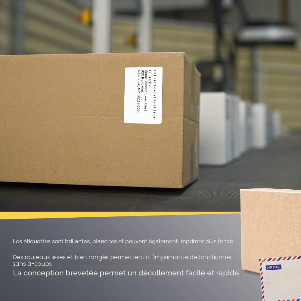 BETCKEY - 76mm x 51mm(3 in x 2 in) Perforées Étiquettes Thermiques pour Usage Multiple et Expédition Compatible avec les imprimantes Zebra et autres [6 Rouleaux/4500 Étiquettes]