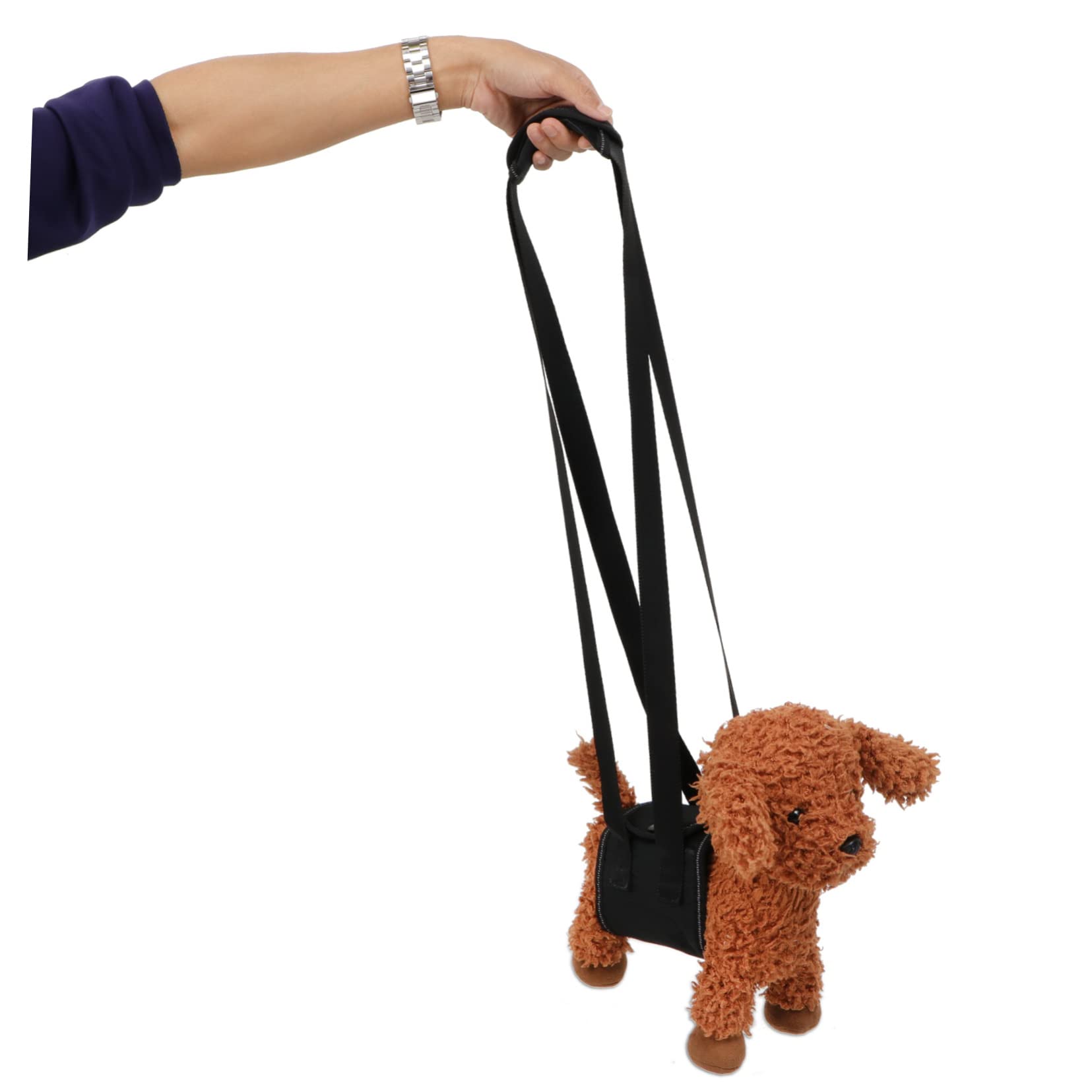 BESPORTBLE 3pièces Ceinture De Soutien pour Chien De Levage Arrière Ajustable pour Animaux Handicapés Outil De Et Entraînement pour Chiens Âgés Et Blessés