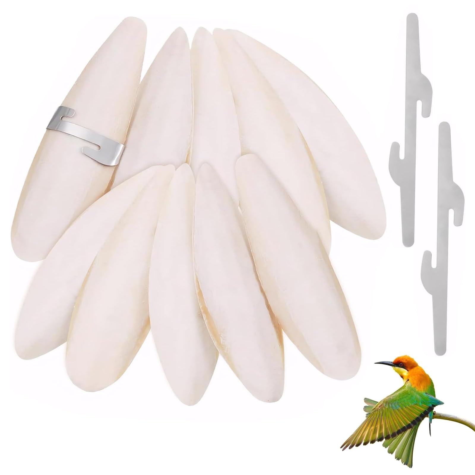 LHOEST Cuttlefish Bone for Birds 7-9CM / 11-13CM
