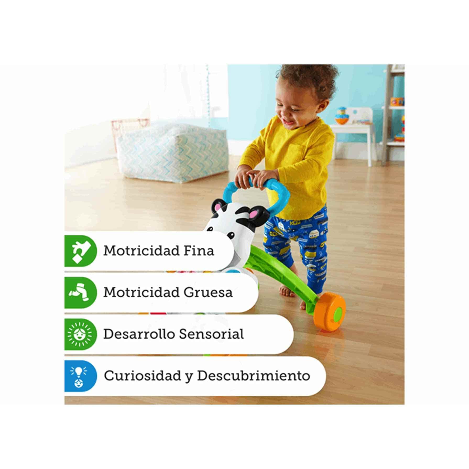 Fisher-Price Zebra Walker, wersja: hiszpański, DLD87
