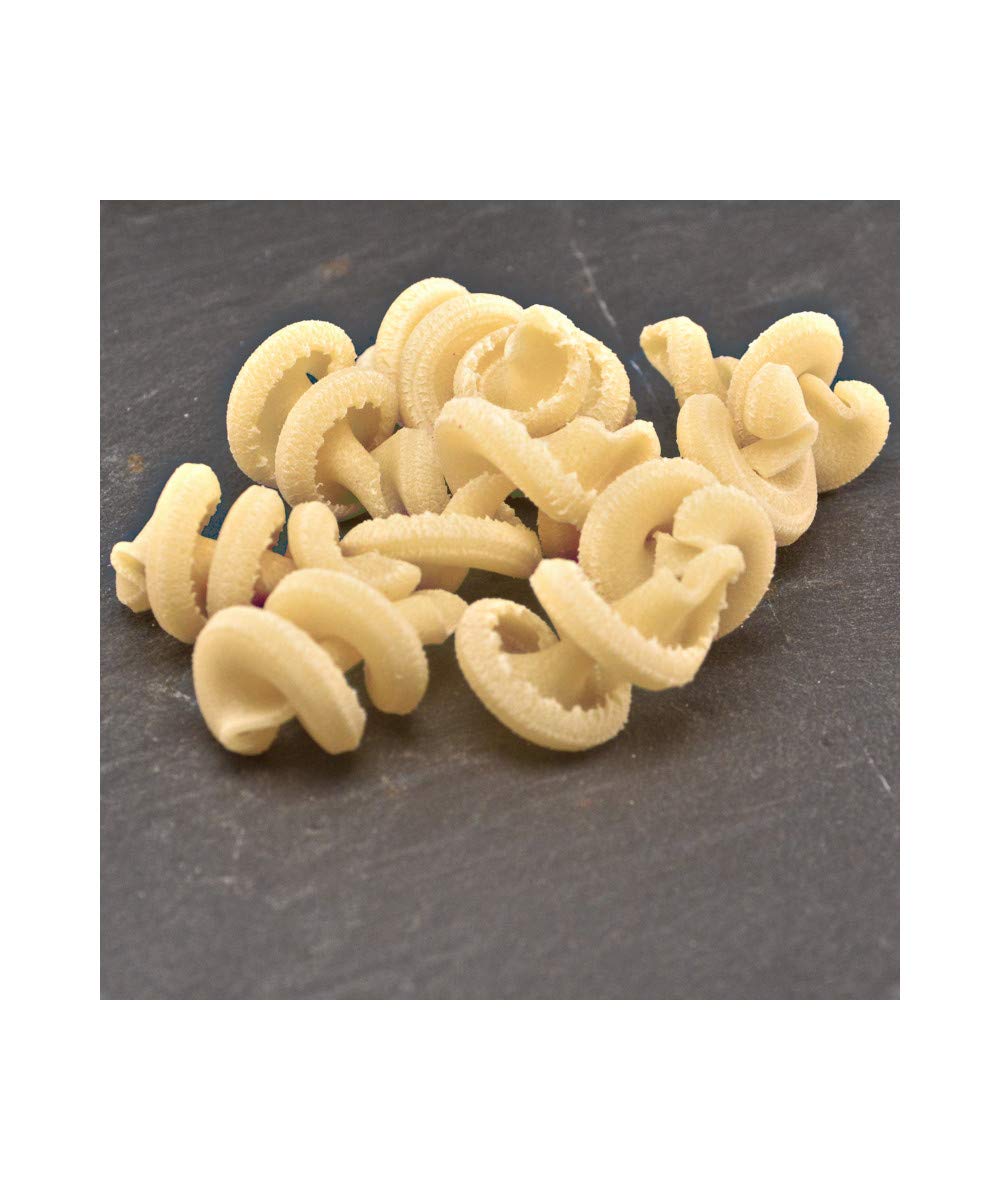 Pastidea - Matrize Funghi rigati/mushrooms compatible with Kenwood Pasta Fresca or with adapter in the pasta maker Avance and other pasta machines
