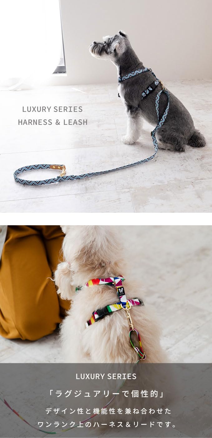 Amazon | 日本製 犬 犬用 ハーネス リード セット お揃い カラフル