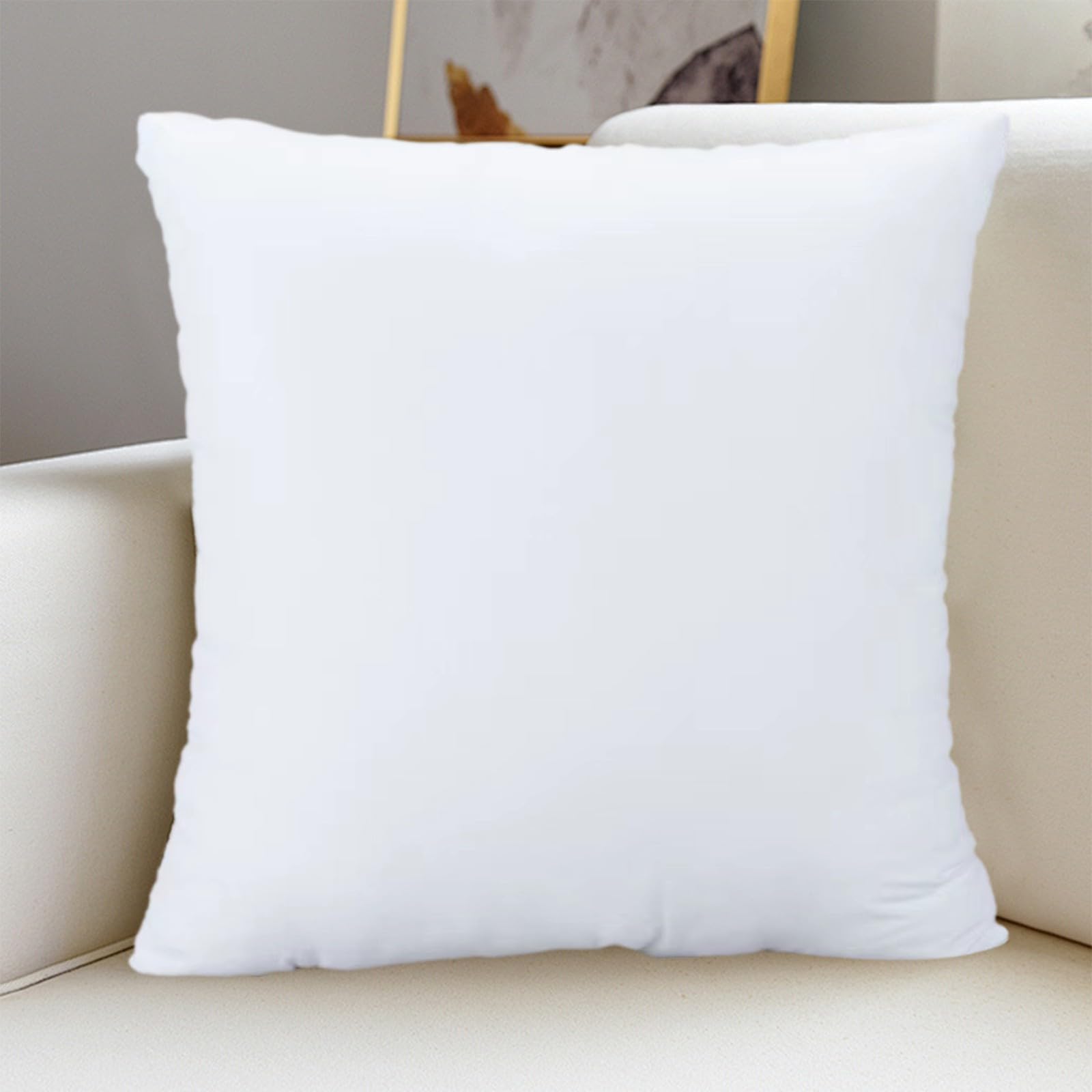 Throw Pillows Down Replacement Pillow Core for Decorative Pillowcases Soft Fluffy Insert for Sofa and Bed Pillows