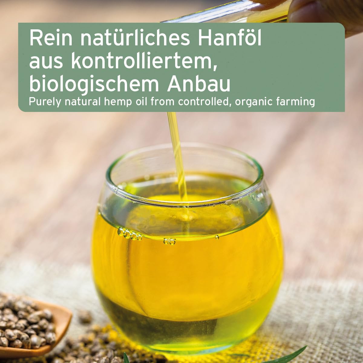 AniForte Olio di Semi di Canapa biologico per cani e gatti 500 ml - Puro e spremuto a freddo come additivo all'alimentazione cruda, prodotto naturale di prima qualità senza additivi