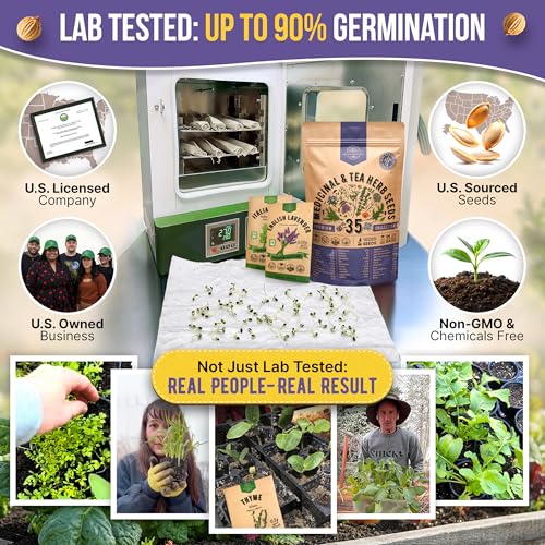 35 Medicinal & Tea Herb Seeds Variety Pack for Indoor & Outdoors. 16,335+ Non-GMO Heirloom Garden Seeds: Anise, Bergamot, Borage, Cilantro, Chamomile, Dandelion, Rosemary Seeds & More - Image 2