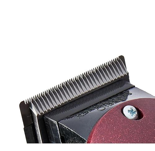 Amazon.com: Wahl Professional 5 Star Balding Clipper, Corded V5000