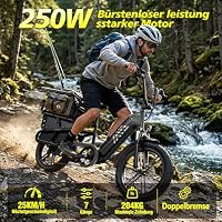 TST Elektrofahrrad für Erwachsene Lastenrad E Bike mit 20" Fat Reifen – Ansicht 3