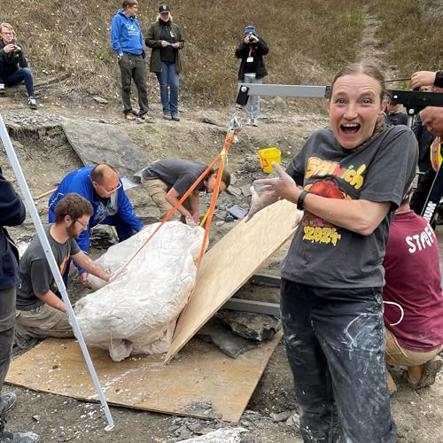 How did bird dinosaurs survive the meteor?