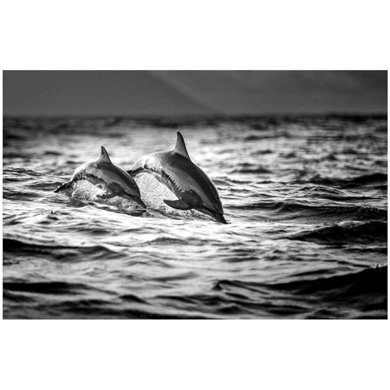 おもちゃ アイボリー レッド ジャンプするイルカの白黒イラスト 1000個のハイエンド素材 屋内ゲーム メンタルチャレンジ 家とオフィスの装飾 Diyギフト 取り外し可能 P3ibdrwrxt Boulevardrestaurants Com おもちゃ アイボリー レッド ジャンプするイルカの白黒イラスト 1000個のハイエンド素材 屋内ゲーム メンタルチャレンジ 家とオフィスの装飾 Diyギフト 取り外し可能 P3ibdrwrxt Boulevardrestaurants Com