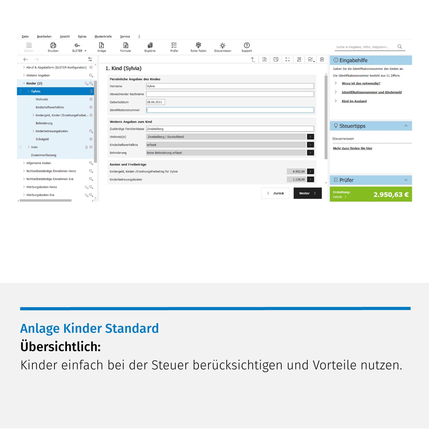 STEUERTIPPS SteuerSparErklärung Lehrer 2024 (für Steuerjahr 2023) │ Windows-Version │ Aktivierungscode per Email