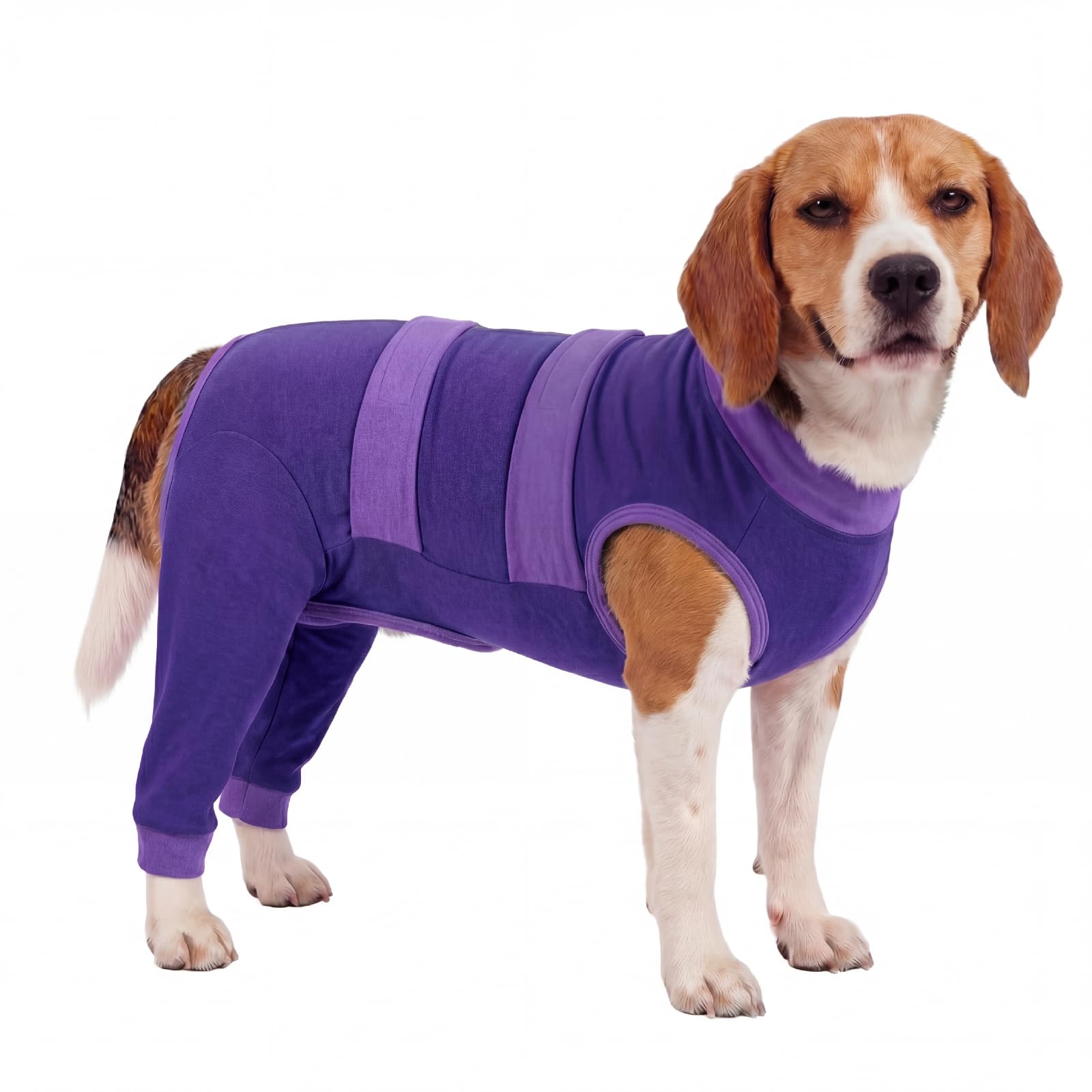 Lelepet Dog Recovery Suit with Legs, Neutering Recovery Suit Male Dogs, Pet Back Leg Wound Protector, Anti Lick Dog Sleeve Rear Leg, Post Op Suits Large Dogs, Purple L