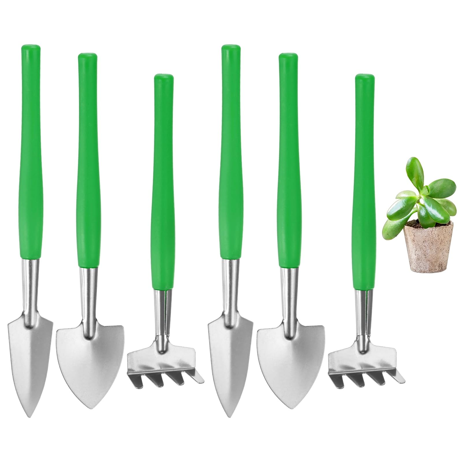 M METERXITY 2-Set Mini Gardening Tools, Stainless Steel Miniature Gardening Rake, Trowel, and Shovel for Seedlings/Bonsai/Succulents/Herbs/Terrariums and Planting [Green]