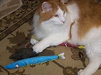 Review Image by Sam's Mom Sam's Mom