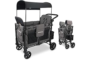 Wonderfold Wagon W2 Elite Double Stroller Wagon