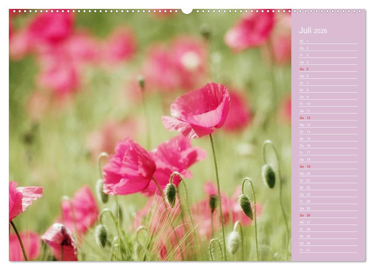 Blumenfreude Schweizer Kalendarium (hochwertiger Premium Wandkalender 2026 DIN A2 quer), Kunstdruck in Hochglanz: Mit wunderschönen Blumen und Blütenbilder durch das Jahr (CALVENDO Natur)