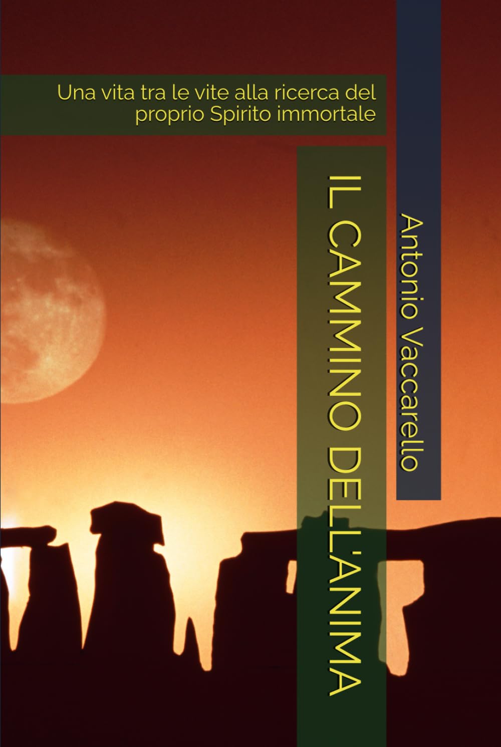 IL CAMMINO DELL'ANIMA: Una vita tra le vite alla ricerca del proprio Spirito immortale (Cammino di Consapevolezza)