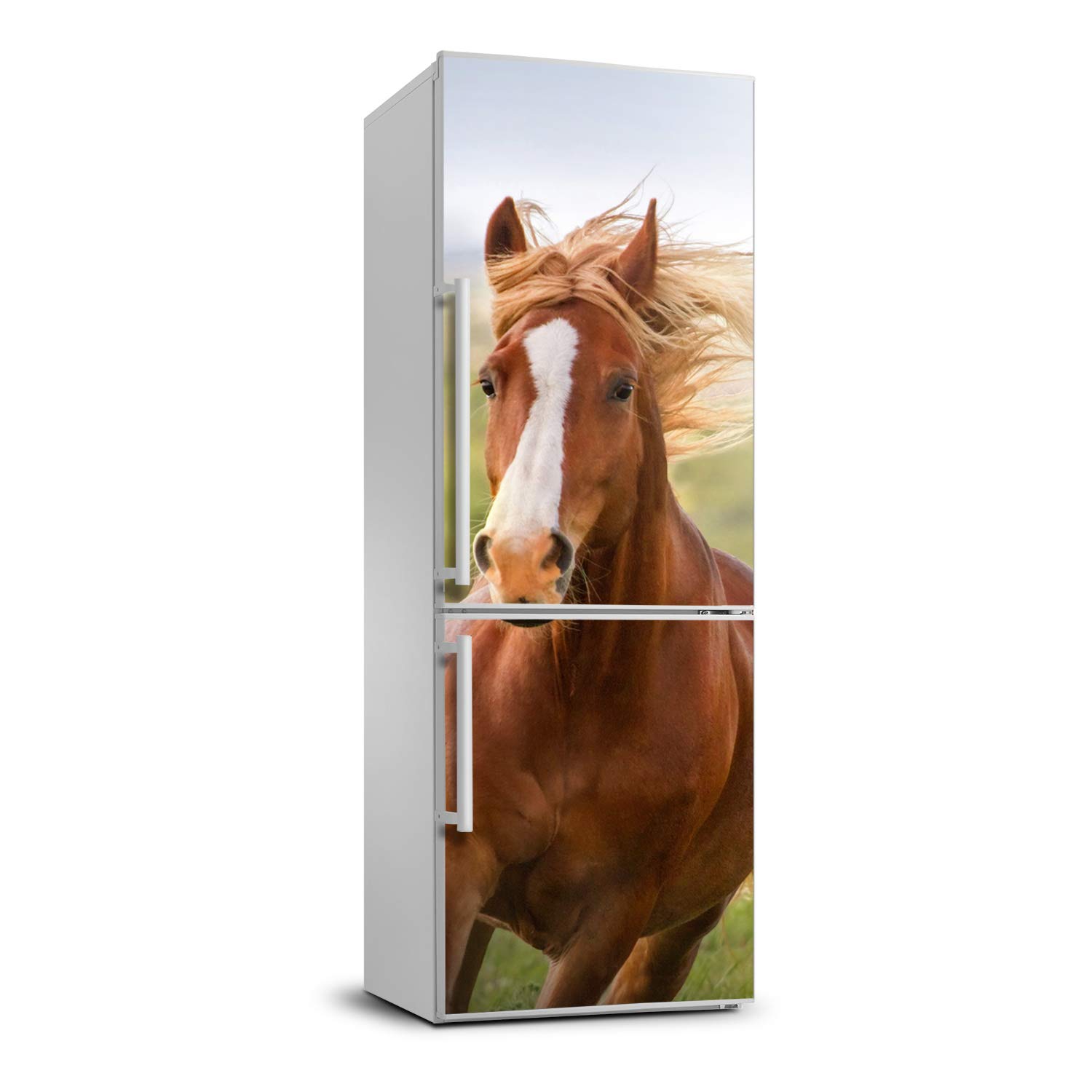 Película autoadhesiva para refrigerador 70x190 cm y decoración de pared de cocina con caballos