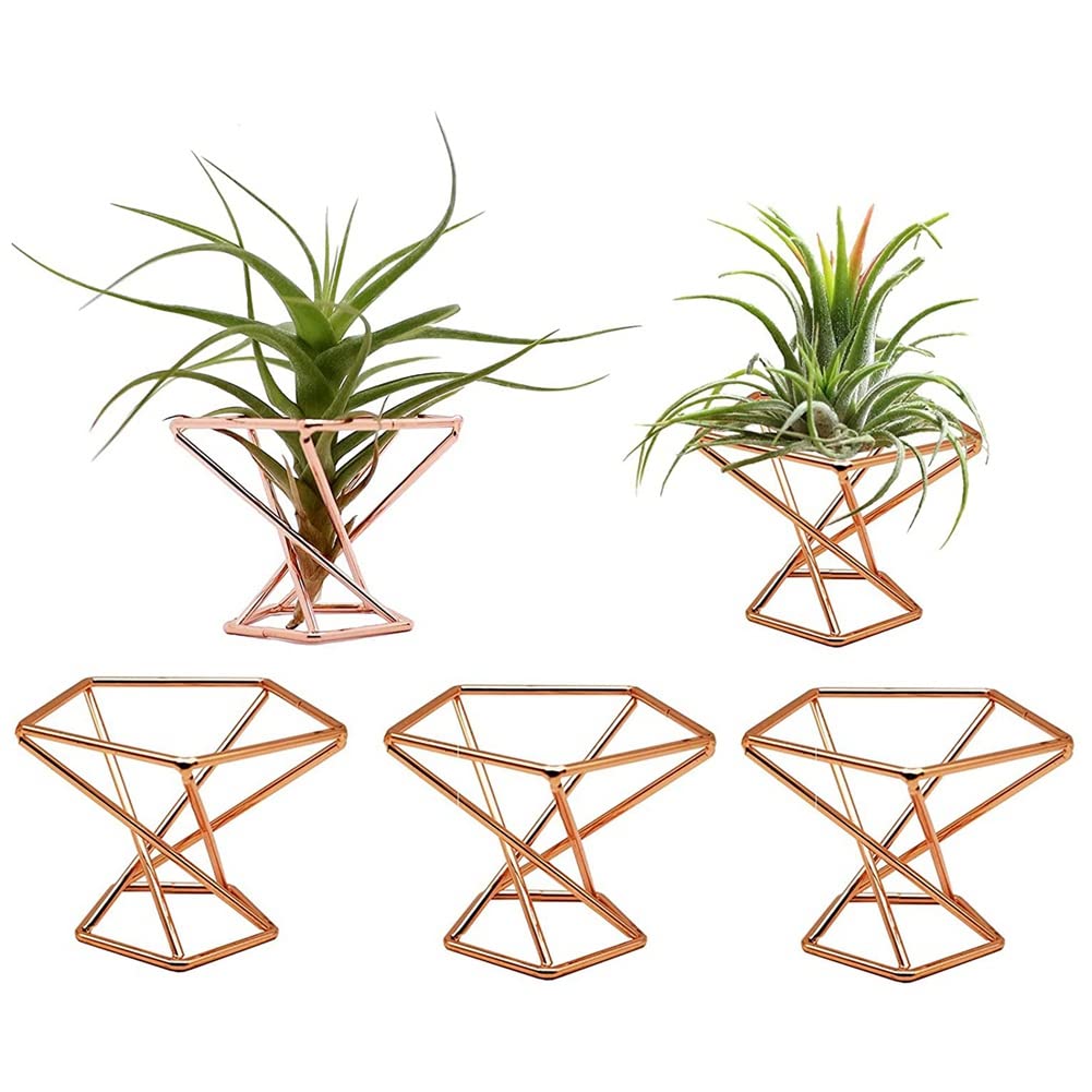 OWLEEN Pack 5 Air Plant Holder Air Plants Holders Tillandsias Display Air Purifying Plant Container Air Fern Stand, Gold