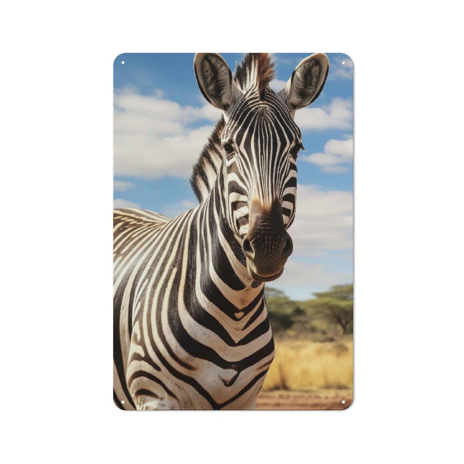 Junmoney Style-12 Zebra Barn Style Metal Wall Decor 30X20cm, Country Metal Sign For Kitchen, Cottage, Porch Or Garden Room