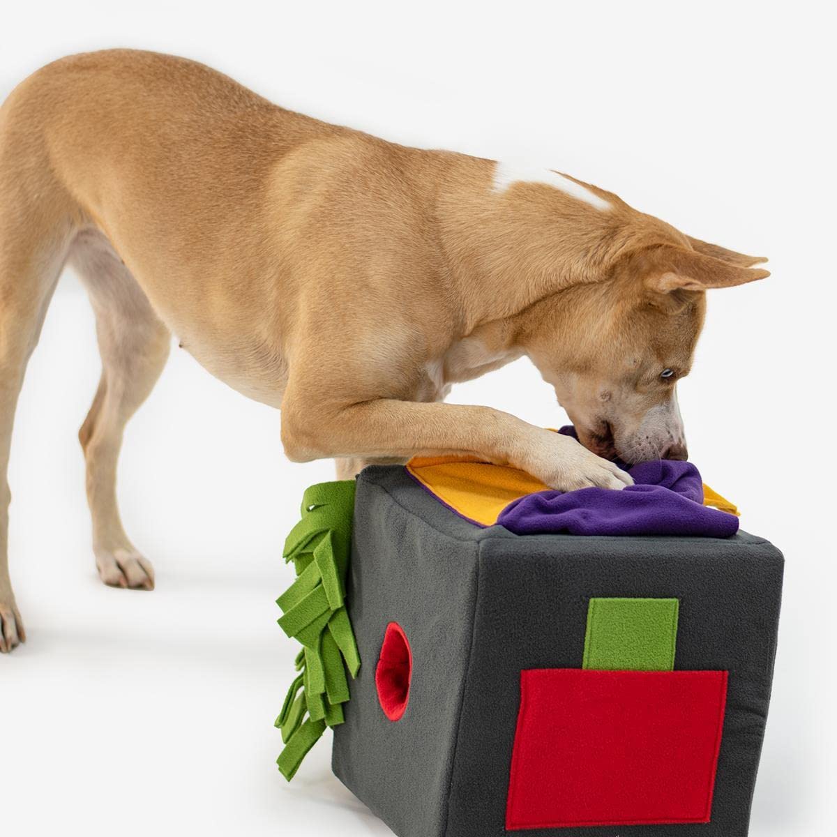 KNAUDER'S BEST Sniffbox - Alfombra para perros grande, juguete de inteligencia, juego de búsqueda, anticaídas, duradera, lavable y apta para secadora