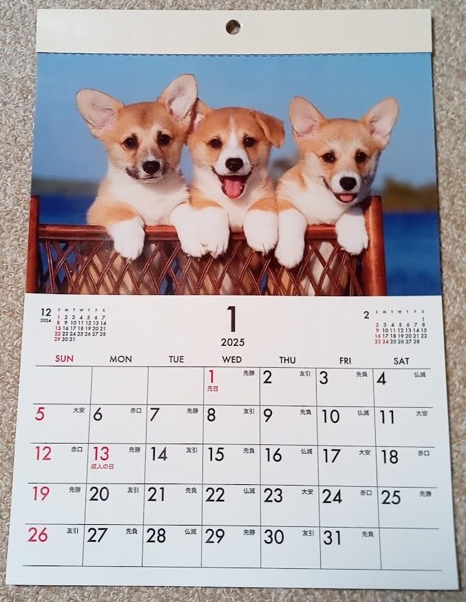 Amazon.co.jp: 犬 A4 1冊 壁掛けカレンダー 2025年 30x21㎝ わんちゃん