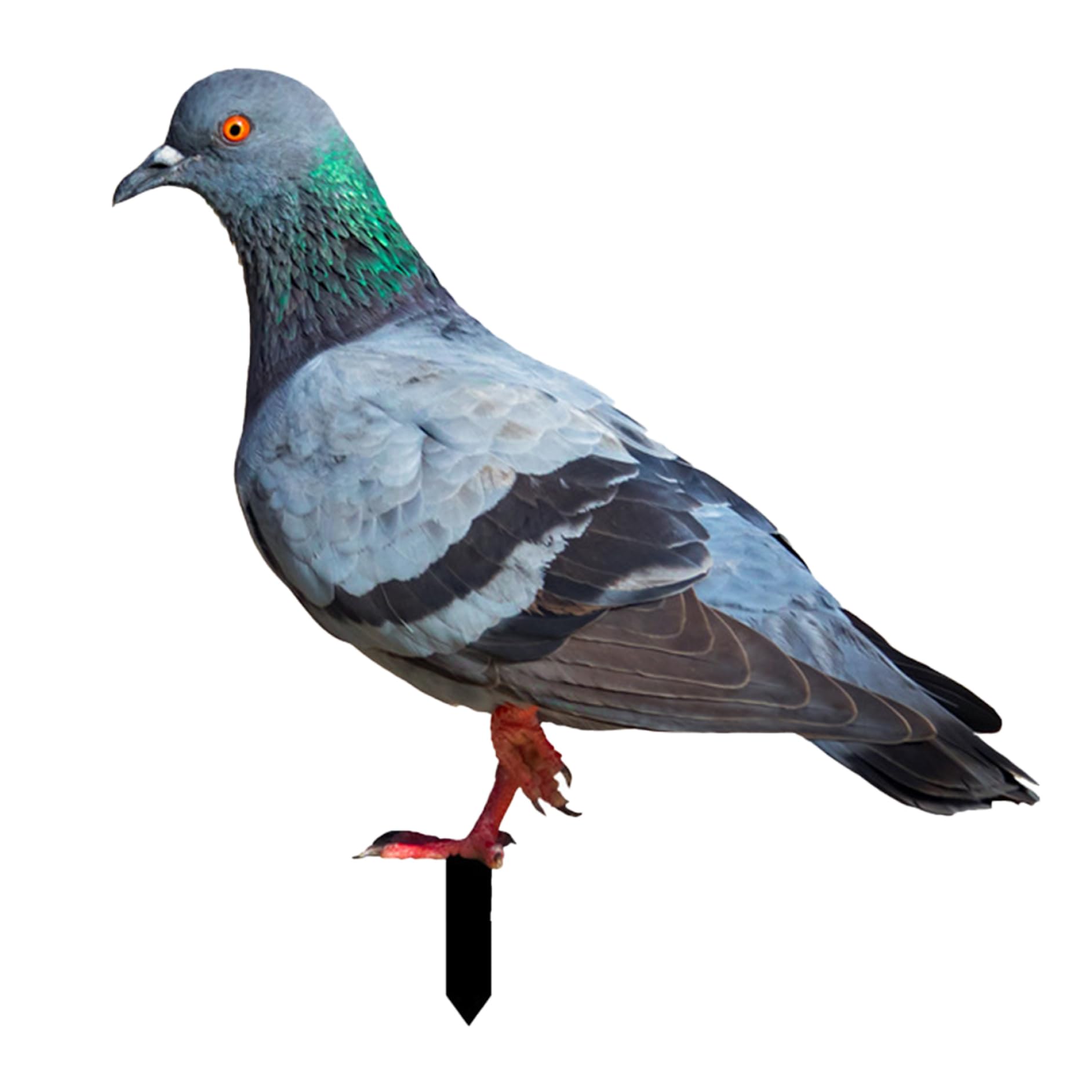 Hperu Pigeon Garden Ornaments Acrylic Yard Decor Poultry Metal Stake Rust-Resistant Garden Decor Yard Art Floor Stakes for Backyard Lawn