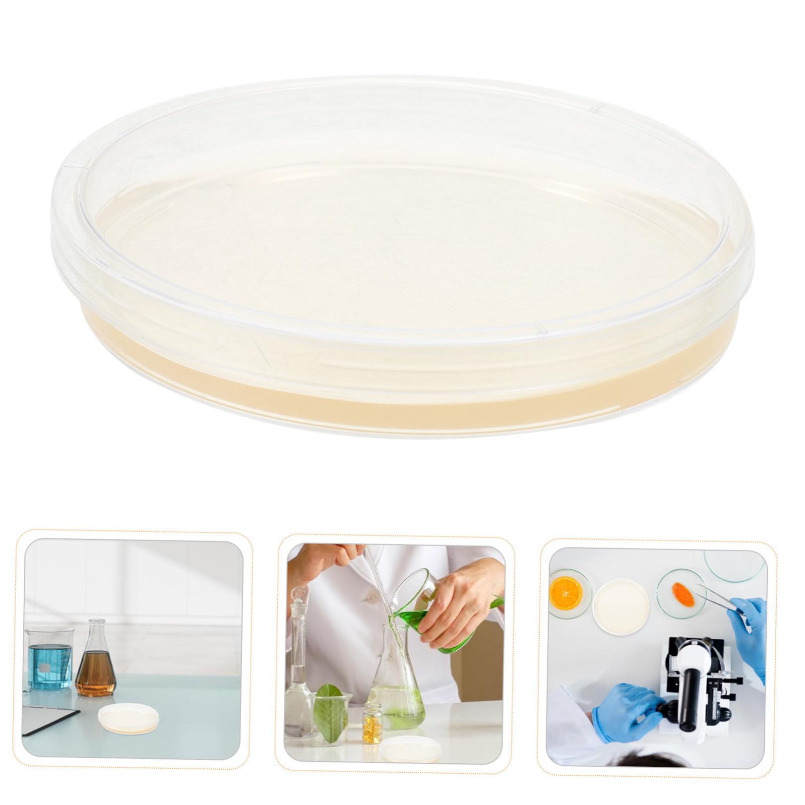 Placas de Petri de Agar Lb 9cm, 20 Pcs, Ps, Redondas | Prevertidas y Estériles, para Cultivo Microbiano y Laboratorio Escolar, Crecimiento Estable