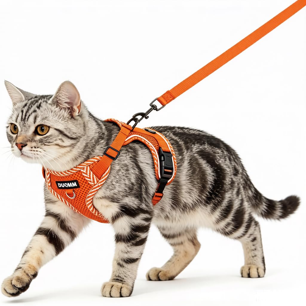 Cat Harness and Lead Set, Escape Proof Kitten Harness with Leash Adjustable Lightweight Soft Vest Harnes s with Reflective Strips, Breathable Mesh for Cats Safe Outdoor (Orange, M)