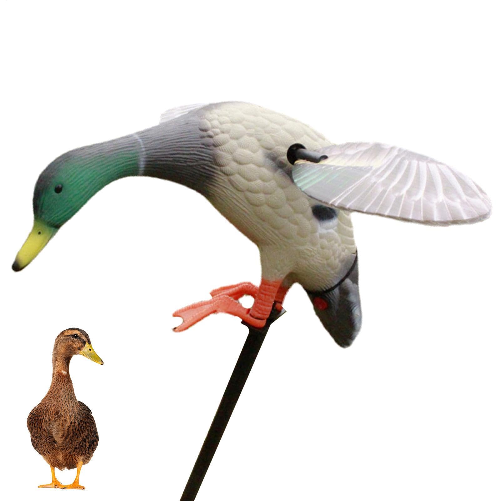 Duck DUCH Ducks - Turning Wing Duck | El Señuelo Flexible del ala De | Rotación De La Columna Mallard | El Señuelo De Caza Eléctrica Remoto Configuración De La Batería Para La Caza De Caza